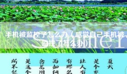 手机被监控了怎么办（感觉自己手机被监控了怎么办）