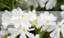 百信手机（百信手机充值）