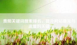 贵阳关键词搜索排名，提升网站曝光与流量的关键