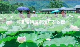 河北搜狗搜索推广怎么做
