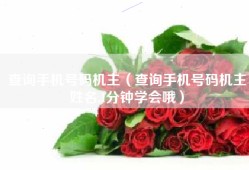 查询手机号码机主（查询手机号码机主姓名,1分钟学会哦）