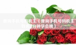查询手机号码机主（查询手机号码机主姓名,1分钟学会哦）