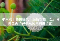 小米汽车售价曝光：最新价格一览，带你全面了解小米汽车的性价比！