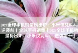 2024全球手机销量榜出炉：小米仅凭Redmi逆袭前十全球手机销量「2024全球手机销量榜出炉：小米仅凭Redmi逆袭前十」