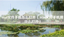 html文件手机怎么打开（.html文件手机用什么打开）