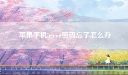 苹果手机icloud密码忘了怎么办