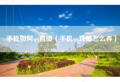 手机如何qq直播（手机qq直播怎么弄）