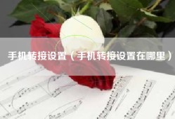 手机转接设置（手机转接设置在哪里）
