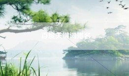 百度关键词排名