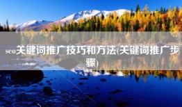seo关键词推广技巧和方法(关键词推广步骤)
