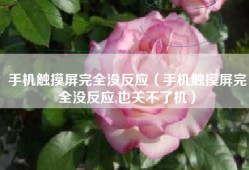 手机触摸屏完全没反应（手机触摸屏完全没反应,也关不了机）