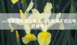 vivo手机充不进去电（vivo手机充不进去电还掉电）