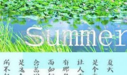 实达集团：11月15日召开业绩说明会，投资者参与