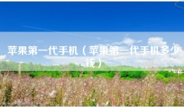 苹果第一代手机（苹果第一代手机多少钱）
