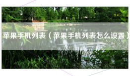 苹果手机列表（苹果手机列表怎么设置）