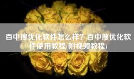 百中搜优化软件怎么样？百中搜优化软件使用教程(附视频教程)