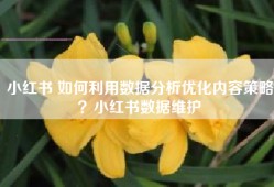小红书 如何利用数据分析优化内容策略？小红书数据维护