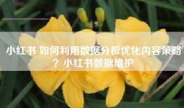 小红书 如何利用数据分析优化内容策略？小红书数据维护