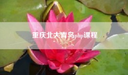 重庆北大青鸟php课程