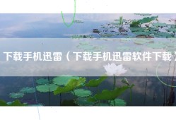 下载手机迅雷（下载手机迅雷软件下载）