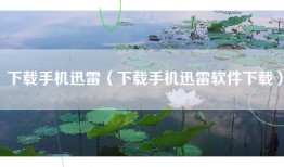 下载手机迅雷（下载手机迅雷软件下载）