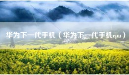 华为下一代手机（华为下一代手机cpu）