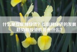 什么是互联网经济？互联网经济的发展趋势和投资机会是什么？