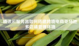 腾讯云服务器如何搭建跨境电商亚马逊多店铺管理环境