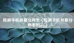 检测手机屏幕分辨率（检测手机屏幕分辨率的app）