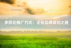 多样化推广方式：企业品牌成功之道