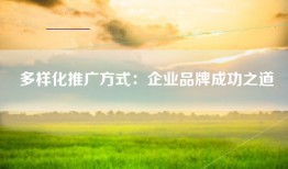 多样化推广方式：企业品牌成功之道