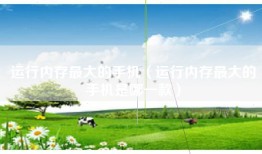 运行内存最大的手机（运行内存最大的手机是哪一款）