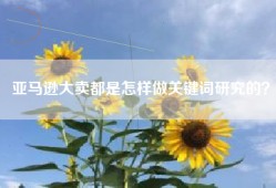 亚马逊大卖都是怎样做关键词研究的？