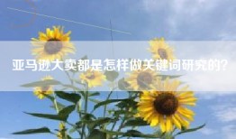 亚马逊大卖都是怎样做关键词研究的？