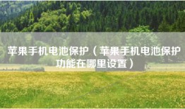 苹果手机电池保护（苹果手机电池保护功能在哪里设置）