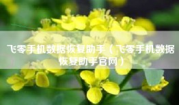 飞零手机数据恢复助手（飞零手机数据恢复助手官网）