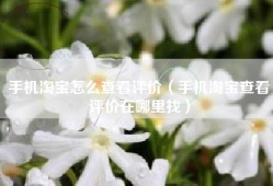 手机淘宝怎么查看评价（手机淘宝查看评价在哪里找）