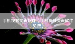 手机视频变声软件（手机视频变声软件免费）