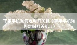 苹果手机如何定时开关机（苹果手机如何定时开关机13）