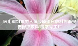 医用重组Ⅲ型人源胶原蛋白敷料创面损伤修护敷料 械字号工厂