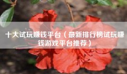 十大试玩赚钱平台（最新排行榜试玩赚钱游戏平台推荐）