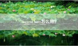 torrent kitty怎么用？