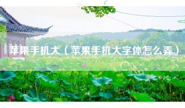 苹果手机大（苹果手机大字体怎么弄）