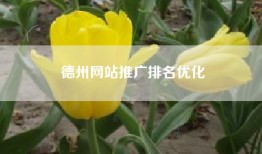 德州网站推广排名优化