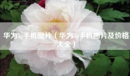 华为5g手机图片（华为5g手机图片及价格大全）