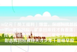 46亿元「员工福利」爆雷，保洁阿姨都投了，老板回应：矿拿回来钱才有着落；传中国销售部门裁员，三星电子回应；彭志辉回应被称天才少年丨雷峰早报