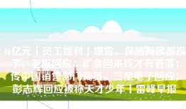 46亿元「员工福利」爆雷，保洁阿姨都投了，老板回应：矿拿回来钱才有着落；传中国销售部门裁员，三星电子回应；彭志辉回应被称天才少年丨雷峰早报