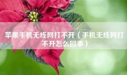 苹果手机无线网打不开（手机无线网打不开怎么回事）