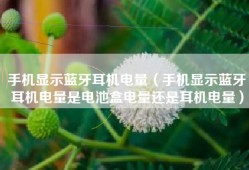 手机显示蓝牙耳机电量（手机显示蓝牙耳机电量是电池盒电量还是耳机电量）