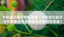 手机显示蓝牙耳机电量（手机显示蓝牙耳机电量是电池盒电量还是耳机电量）